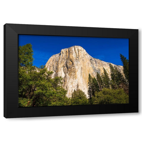 El Capitan-Yosemite Valley-Yosemite National Park-California-USA Black Modern Wood Framed Art Print by Bishop, Russ