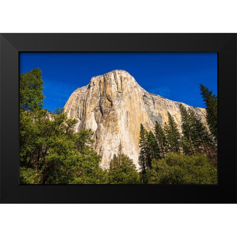 El Capitan-Yosemite Valley-Yosemite National Park-California-USA Black Modern Wood Framed Art Print by Bishop, Russ