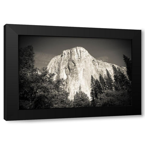 El Capitan-Yosemite Valley-Yosemite National Park-California-USA Black Modern Wood Framed Art Print by Bishop, Russ