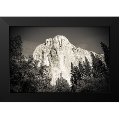El Capitan-Yosemite Valley-Yosemite National Park-California-USA Black Modern Wood Framed Art Print by Bishop, Russ