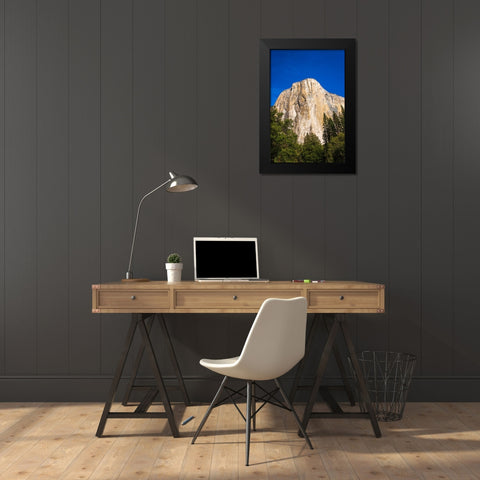 El Capitan-Yosemite Valley-Yosemite National Park-California-USA Black Modern Wood Framed Art Print by Bishop, Russ