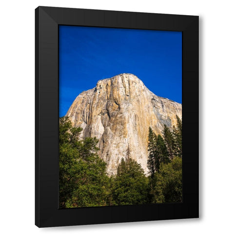 El Capitan-Yosemite Valley-Yosemite National Park-California-USA Black Modern Wood Framed Art Print by Bishop, Russ