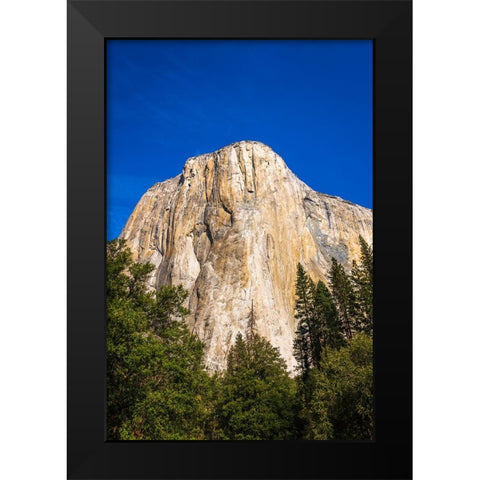 El Capitan-Yosemite Valley-Yosemite National Park-California-USA Black Modern Wood Framed Art Print by Bishop, Russ