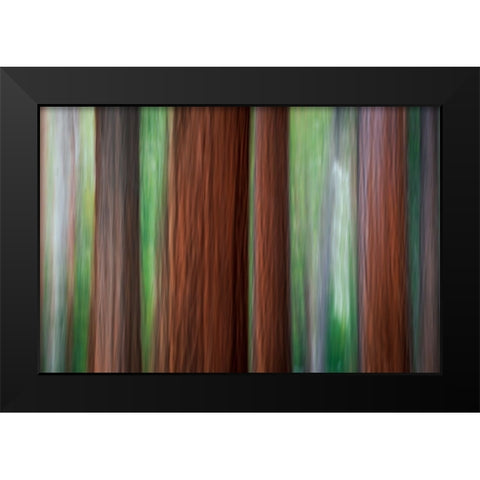 Forest abstract-Yosemite National Park-California-USA Black Modern Wood Framed Art Print by Bishop, Russ