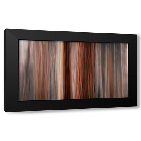 Forest abstract-Yosemite National Park-California-USA Black Modern Wood Framed Art Print with Double Matting by Bishop, Russ