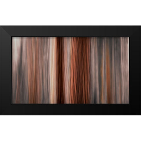 Forest abstract-Yosemite National Park-California-USA Black Modern Wood Framed Art Print by Bishop, Russ
