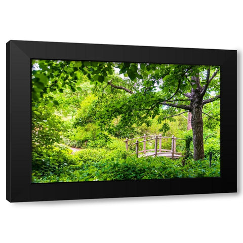 A wooden bridge crossing a small creek alongside a dirt path in a very green-lush forest setting Black Modern Wood Framed Art Print by Haddad, Sheila