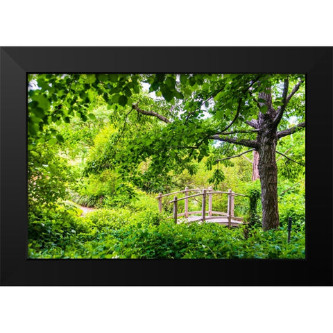 A wooden bridge crossing a small creek alongside a dirt path in a very green-lush forest setting Black Modern Wood Framed Art Print by Haddad, Sheila