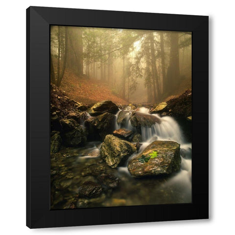 A stream meanders through a fog filled valley on coastal California near Big Sur Black Modern Wood Framed Art Print with Double Matting by SMO