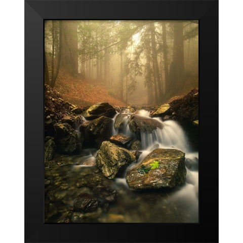 A stream meanders through a fog filled valley on coastal California near Big Sur Black Modern Wood Framed Art Print by SMO