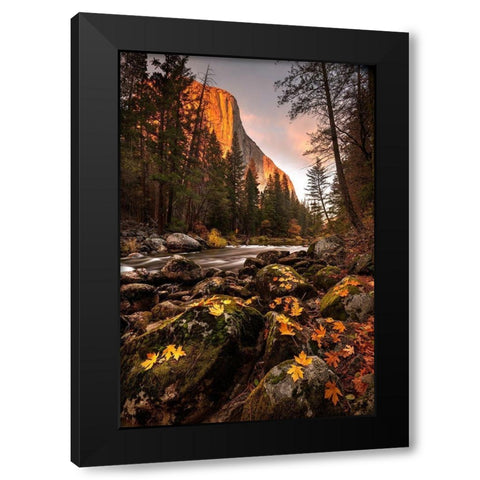 Fall along Merced River in Yosemite National Park-California Black Modern Wood Framed Art Print with Double Matting by SMO