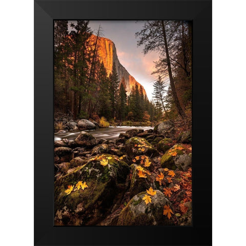 Fall along Merced River in Yosemite National Park-California Black Modern Wood Framed Art Print by SMO