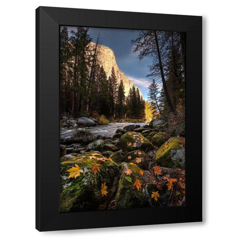 Autumn along Merced River in Yosemite National Park-California Black Modern Wood Framed Art Print with Double Matting by SMO