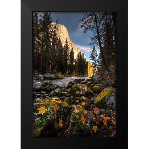 Autumn along Merced River in Yosemite National Park-California Black Modern Wood Framed Art Print by SMO