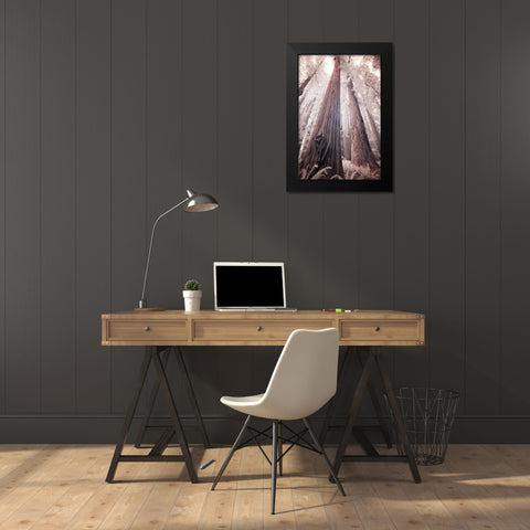 California Redwood National Park-infrared of Redwood forest Black Modern Wood Framed Art Print by Eggers, Terry