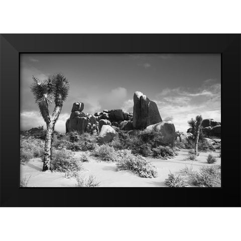 Winter storm-Joshua Tree National Park-California Black Modern Wood Framed Art Print by Muench, Zandria