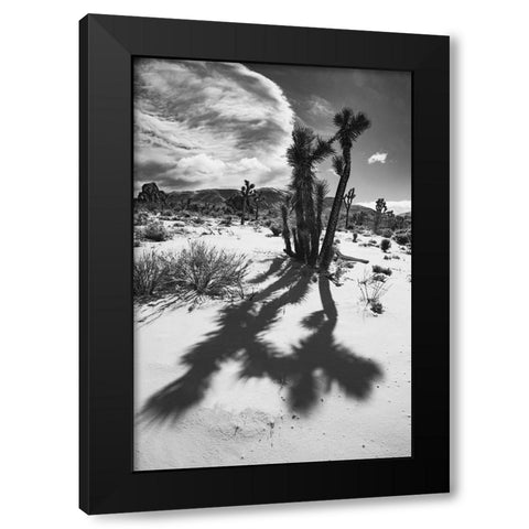 Winter storm-Joshua Tree National Park-California Black Modern Wood Framed Art Print by Muench, Zandria