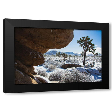 Winter storm-Joshua Tree National Park-California Black Modern Wood Framed Art Print with Double Matting by Muench, Zandria