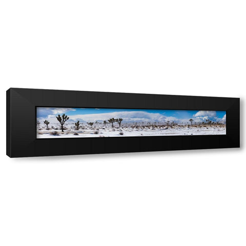 Winter storm-Joshua Tree National Park-California Black Modern Wood Framed Art Print by Muench, Zandria