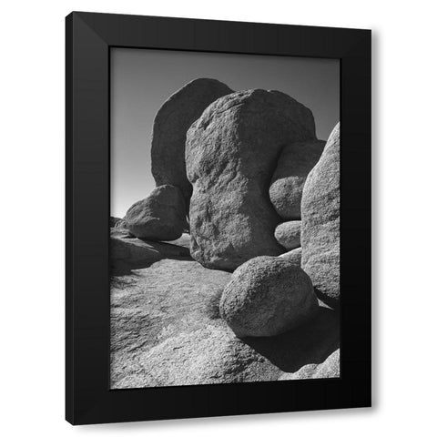 Granite Tree National Park- California Black Modern Wood Framed Art Print with Double Matting by Muench, Zandria