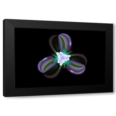 Columbine Flower-Colorado Black Modern Wood Framed Art Print with Double Matting by Jones, Adam