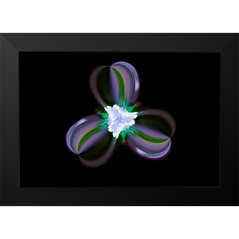 Columbine Flower-Colorado Black Modern Wood Framed Art Print by Jones, Adam