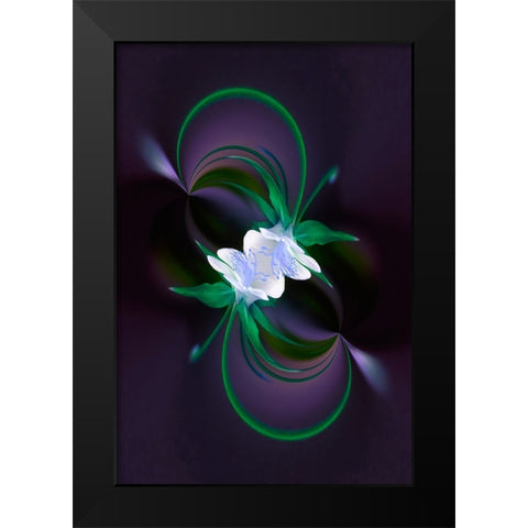 Columbine flower-Colorado Black Modern Wood Framed Art Print by Jones, Adam