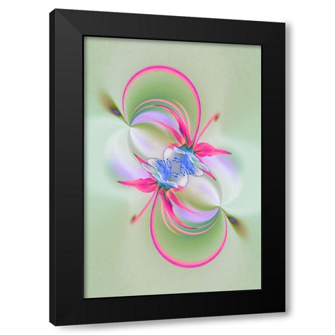 Columbine flower-Colorado Black Modern Wood Framed Art Print with Double Matting by Jones, Adam