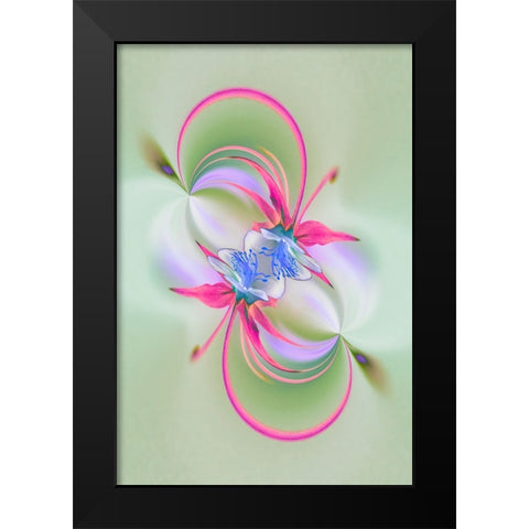 Columbine flower-Colorado Black Modern Wood Framed Art Print by Jones, Adam