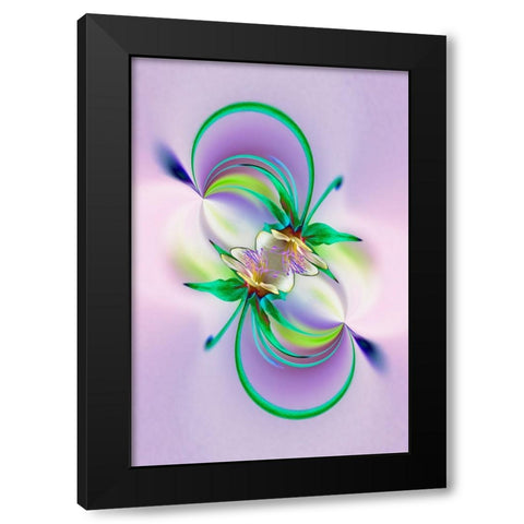 Columbine flower-Colorado Black Modern Wood Framed Art Print by Jones, Adam