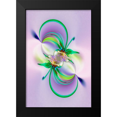 Columbine flower-Colorado Black Modern Wood Framed Art Print by Jones, Adam