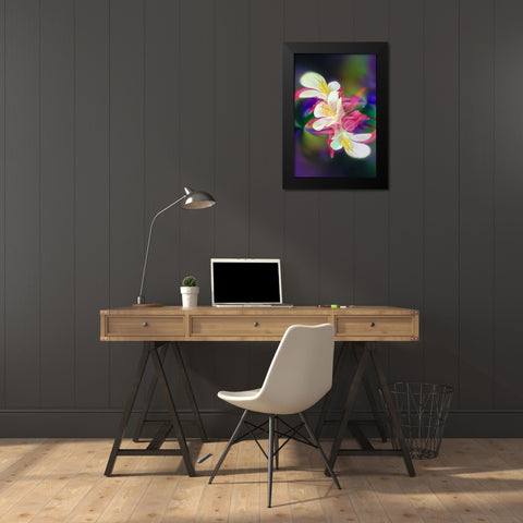 Columbine flower-Colorado Black Modern Wood Framed Art Print by Jones, Adam
