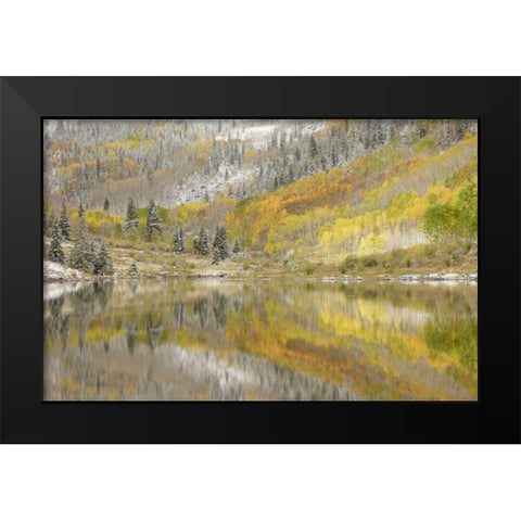 CO, Maroon Lake, Fresh snow and aspen trees Black Modern Wood Framed Art Print by Grall, Don