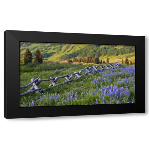 CO, Crested Butte Fence in a mountain valley Black Modern Wood Framed Art Print with Double Matting by Rotenberg, Nancy