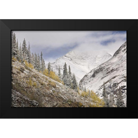 CO, Rocky Mts, Cinnamon Pass Autumn snowfall, Black Modern Wood Framed Art Print by Grall, Don