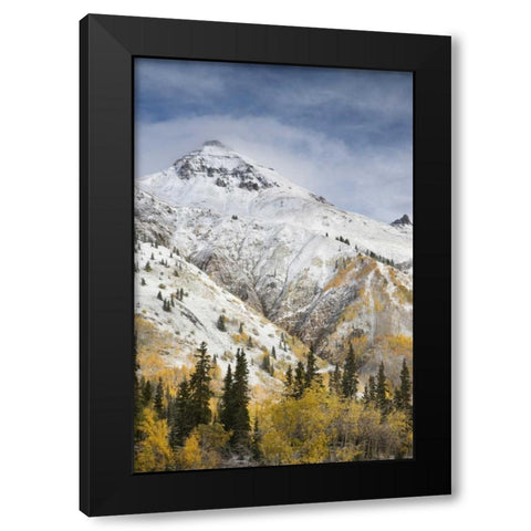 CO, Uncompahgre NF Mountain and aspens in autumn Black Modern Wood Framed Art Print with Double Matting by Grall, Don