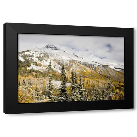 CO, Uncompahgre NF Mountain and aspens in autumn Black Modern Wood Framed Art Print with Double Matting by Grall, Don