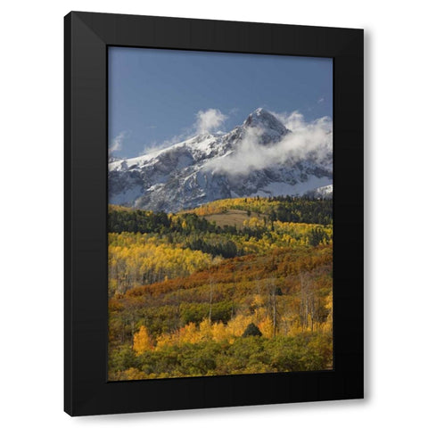 CO, San Juan Mts, Uncompahgre NF Autumn forest Black Modern Wood Framed Art Print with Double Matting by Grall, Don