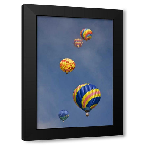 CO, Colorado Springs Hot air balloons in morning Black Modern Wood Framed Art Print with Double Matting by Grall, Don