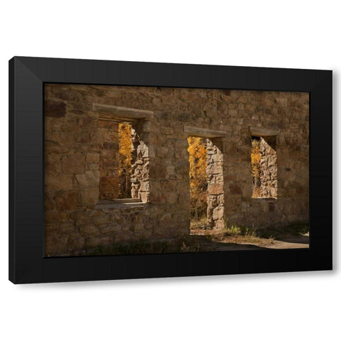 CO, Central City Aspen inside abandoned building Black Modern Wood Framed Art Print with Double Matting by Grall, Don
