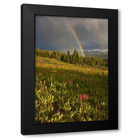 CO, Shrine Pass A sunset rainbow over meadow Black Modern Wood Framed Art Print by Grall, Don