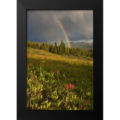 CO, Shrine Pass A sunset rainbow over meadow Black Modern Wood Framed Art Print by Grall, Don