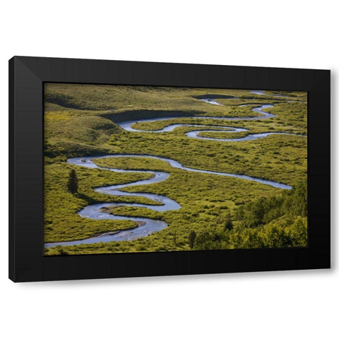 CO, Gunnison NF Uper East Rivers meandering Black Modern Wood Framed Art Print with Double Matting by Grall, Don
