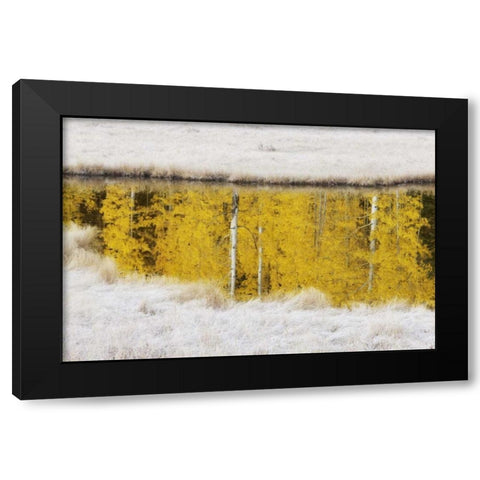 CO, San Juan Mts Autumn sunrise reflection Black Modern Wood Framed Art Print by Grall, Don