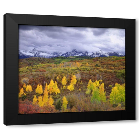 Colorado, Rocky Mountains, Autumn in the Rockies Black Modern Wood Framed Art Print with Double Matting by Talbot Frank, Christopher