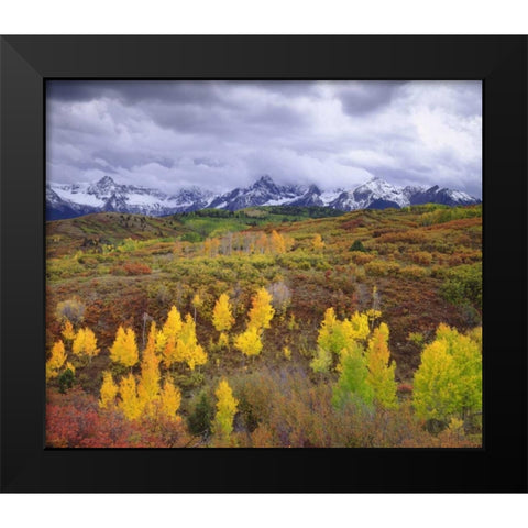 Colorado, Rocky Mountains, Autumn in the Rockies Black Modern Wood Framed Art Print by Talbot Frank, Christopher