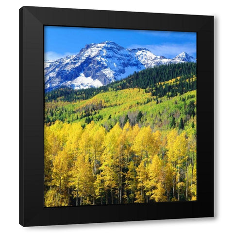 Colorado, Rocky Mountains, Autumn in the Rockies Black Modern Wood Framed Art Print with Double Matting by Talbot Frank, Christopher