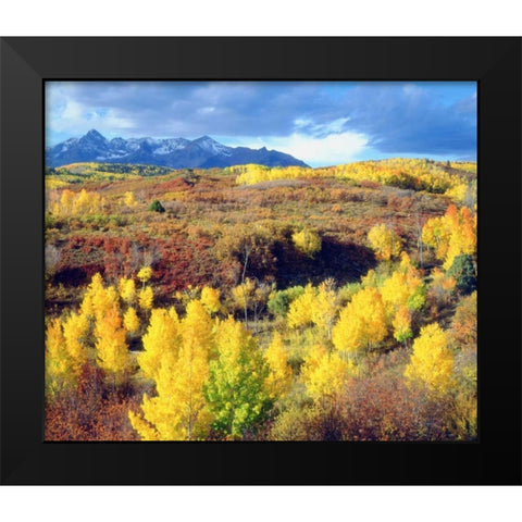 Colorado, Rocky Mountains, Autumn in the Rockies Black Modern Wood Framed Art Print by Talbot Frank, Christopher