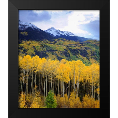 CO, Sunset over Mt Wilson with fall colors Black Modern Wood Framed Art Print by Talbot Frank, Christopher