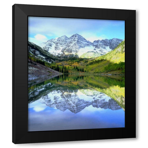 CO, Rocky Mts, Maroon Lake, Maroon Bell flowers Black Modern Wood Framed Art Print by Talbot Frank, Christopher
